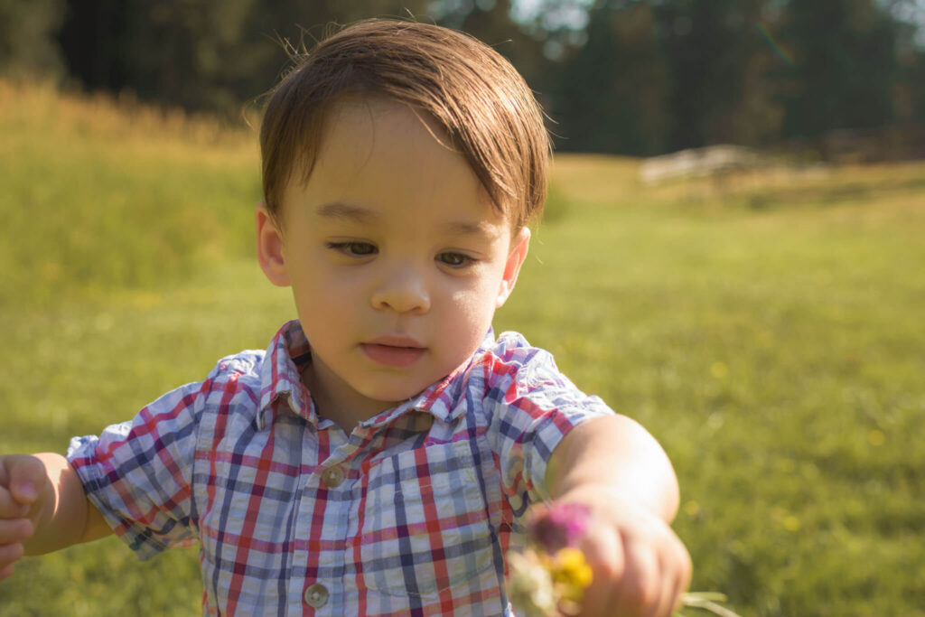 Toddler holding small wildflowers during a Denver spring family photo session in a grassy field